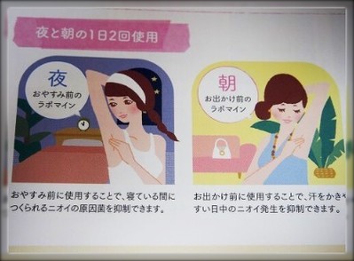 朝と夜の2回塗る